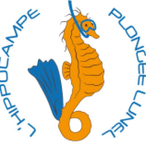 Hippocampe Plongée Lunel