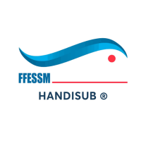 logo handisub